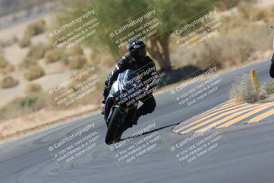 media/May-14-2023-SoCal Trackdays (Sun) [[024eb53b40]]/Turn 5 Tree of Life (1125am)/